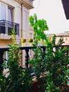 Гостевой дом Babilina B&B Тбилиси-6